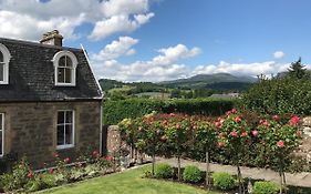 Leven House Bed And Breakfast